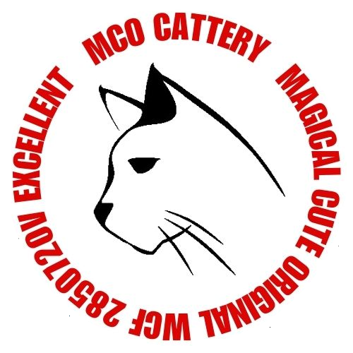 Mco Cattery